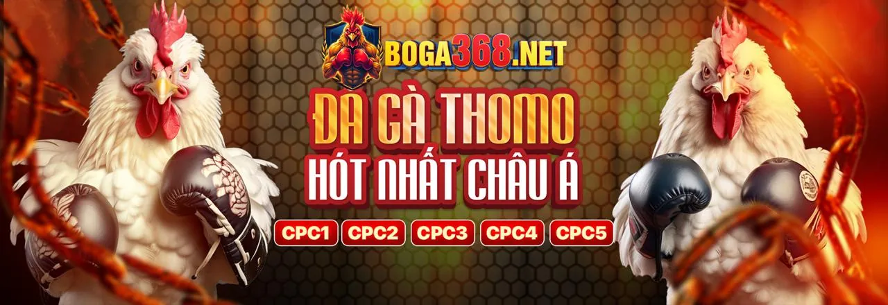 okfun win: Nền tảng cá cược trực tuyến hàng đầu 2024